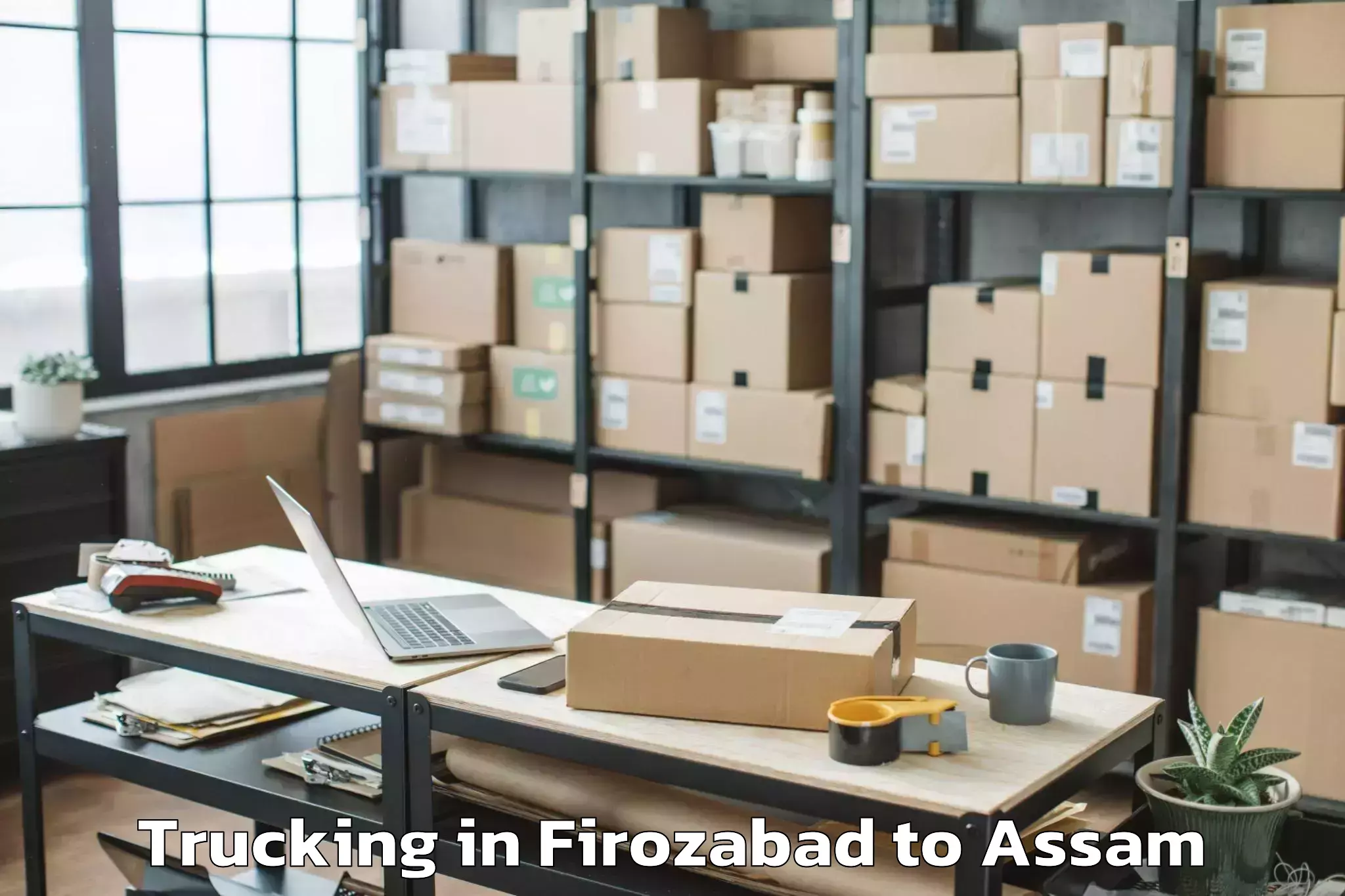 Hassle-Free Firozabad to Behali Trucking